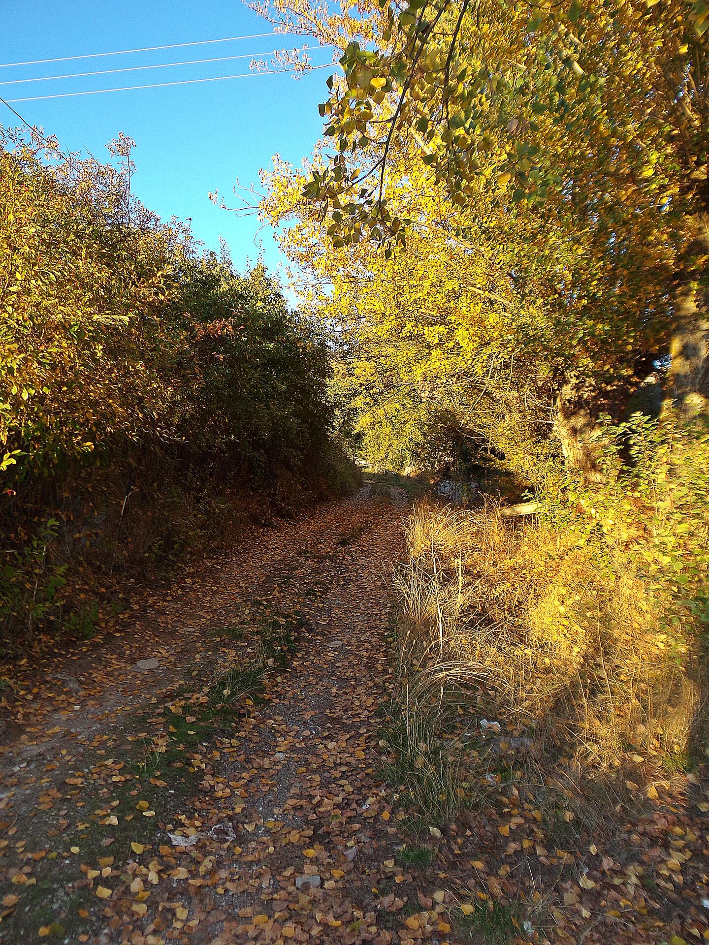 Camino arriba